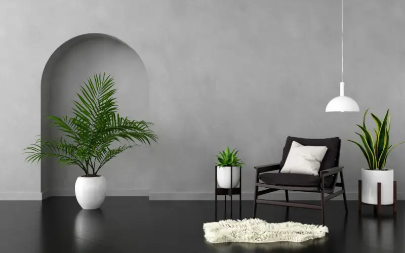 Sustenabilitate și Locuinte Eco-Friendly , imagine interior minimalist cu multe plante si culori inchise